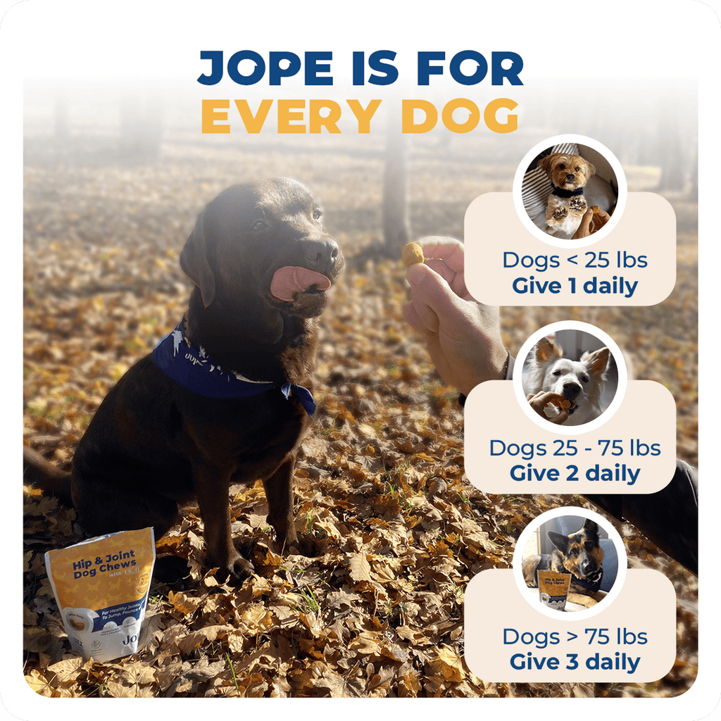 Jope Hip & Joint Dog Chews- 60 Count
