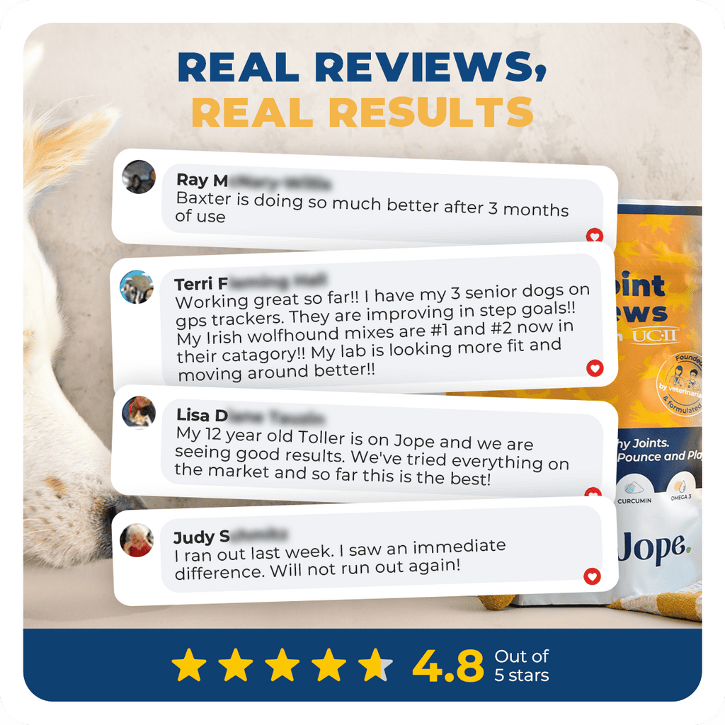 Jope Hip & Joint Dog Chews- 60 Count